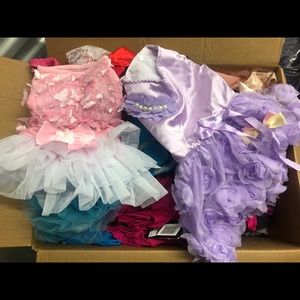 Dog Clothing and accessories